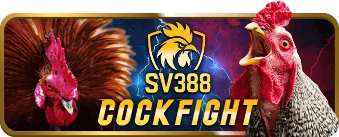 Hướng dẫn đăng ký và đăng nhập tài khoản mot88